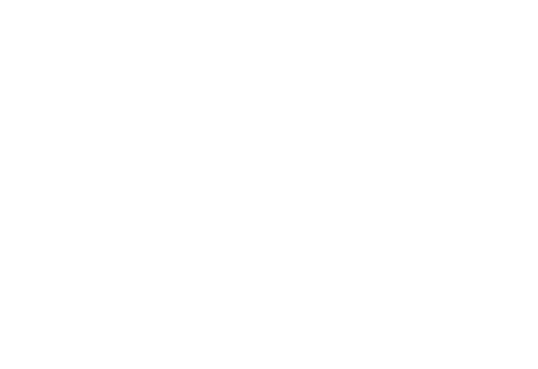 Boni Homes
